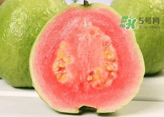 红芭乐怎么吃视频,白芭乐怎么吃