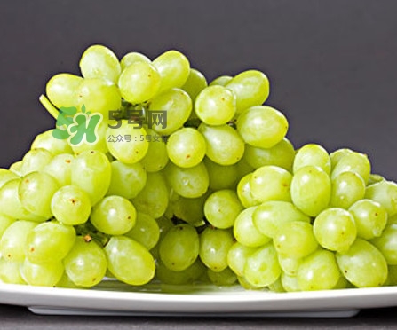 马奶葡萄几月成熟,马奶葡萄产地