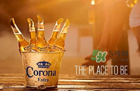 科罗娜啤酒经销商代理,科罗娜特级啤酒多少钱一瓶