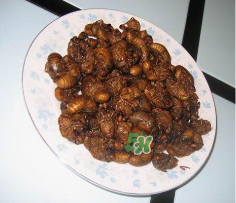 吃金蝉过敏怎么办,吃金蝉过敏是什么原因