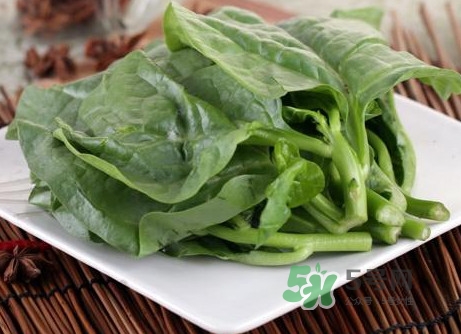 木耳菜和什么食物相克,黑木耳和什么菜相克