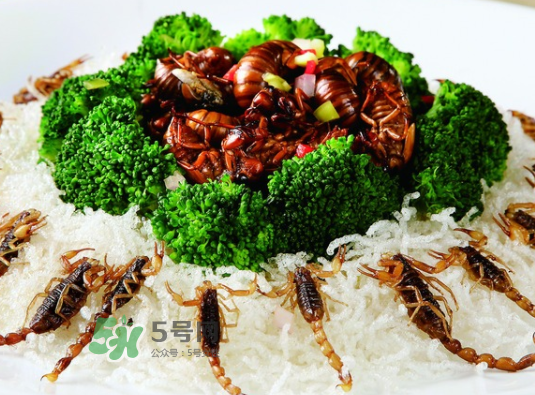 金蝉不能和什么一起吃?金蝉哪些人不能吃?,金蝉不能和什么一起吃? 金蝉不能和什么一起吃?金蝉哪些人不能吃?,金蝉不能和什么一起吃?