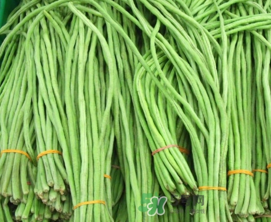没熟的缸豆吃了会怎样,豇豆能生吃吗 没熟的缸豆吃了会怎样,豇豆能生吃吗