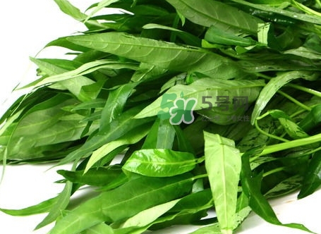 菜心的叶子能吃吗,空心菜菜叶子能吃吗