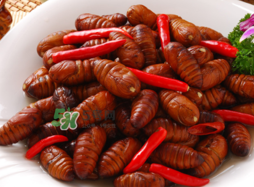 新鲜蚕蛹哪里能买到,蚕蛹片多少钱一盒呢 新鲜蚕蛹哪里能买到,蚕蛹片多少钱一盒呢