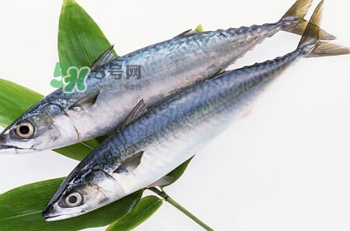 鲮鱼一般能长多大,鳊鱼能长多大