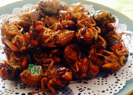 知了猴不能和什么一起吃,猕猴桃和虾一起吃了怎么样