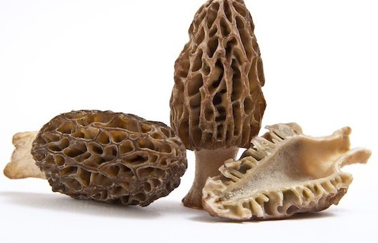 羊肚菌有什么作用和功效,羊肚菌有什么作用