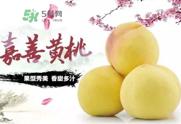 黄桃一般多少钱一斤,黄桃干多少钱一斤 黄桃一般多少钱一斤,黄桃干多少钱一斤