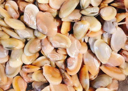 海瓜子冷水煮还是热水煮,海瓜子冷水下锅还是开水下锅