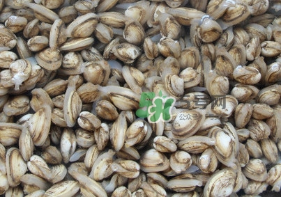 海瓜子可以放几天,海瓜子如何存放