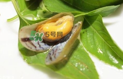 薄壳怎么读,薄壳的拼音怎么读