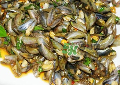 薄壳是海瓜子吗,海薄壳和海瓜子的区别