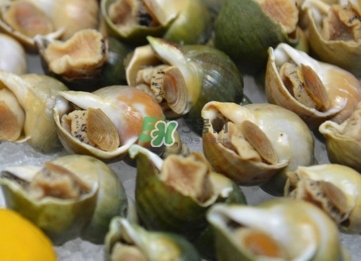 海螺怎么做好吃又简单,海螺怎么做才好吃 海螺怎么做好吃又简单,海螺怎么做才好吃