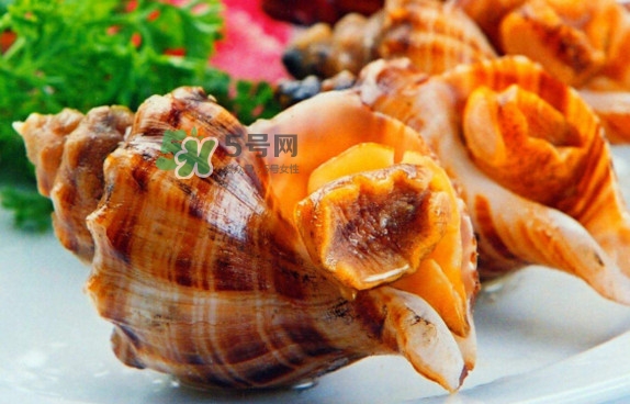 海螺壳里的声音,为什么海螺壳里有大海的声音?