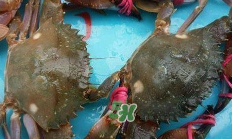 赤甲红海蟹多少钱一斤,赤甲红海蟹多少钱一斤2020