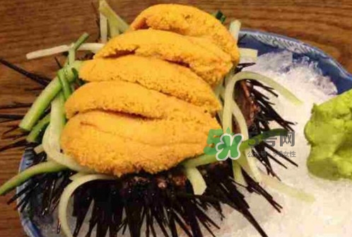 海胆黄怎么吃最好吃,海胆一次可以吃多少