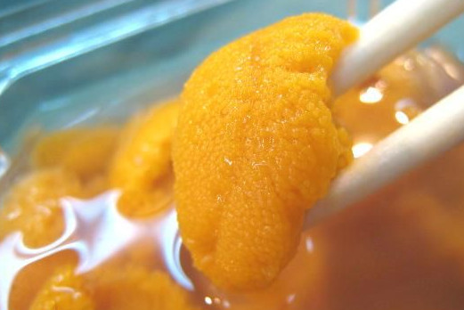 马粪海胆什么季节最肥,海胆什么季节最肥美