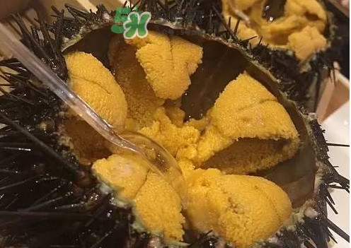 冷冻一年多的海胆黄还能吃吗,冻海胆怎么吃法