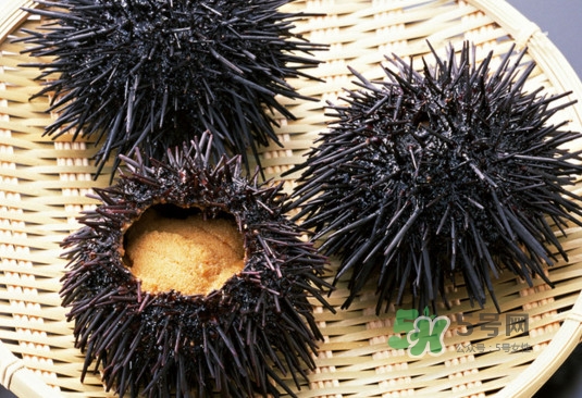 海胆冷冻可以放多久,海胆冷冻四个月可以吃吗