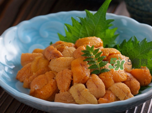 海胆怎么做好吃又简单,海胆怎么吃才好吃