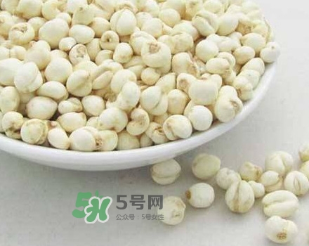 川贝和川贝母是一样吗,川贝母是川贝吗?