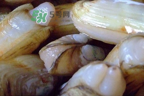 赶海蛏子怎么抓,蛏子怎么抓视频 赶海蛏子怎么抓,蛏子怎么抓视频