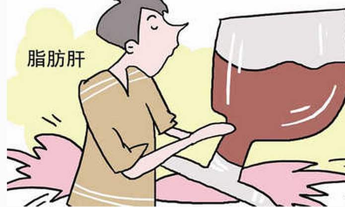 脂肪肝适合喝蜂蜜吗,脂肪肝可以喝蜂蜜