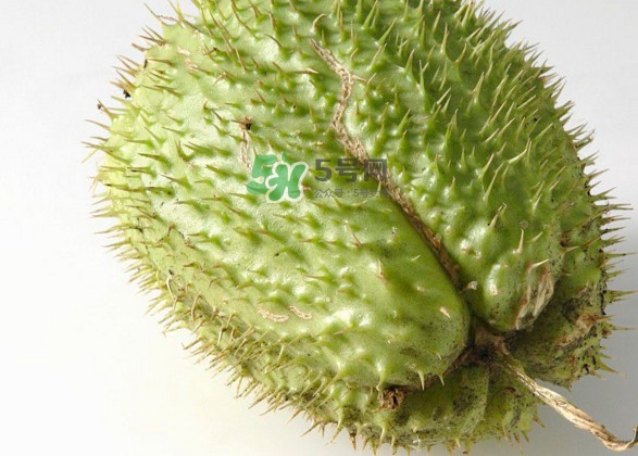 番荔枝一般多少钱一斤,刺果番荔枝图片