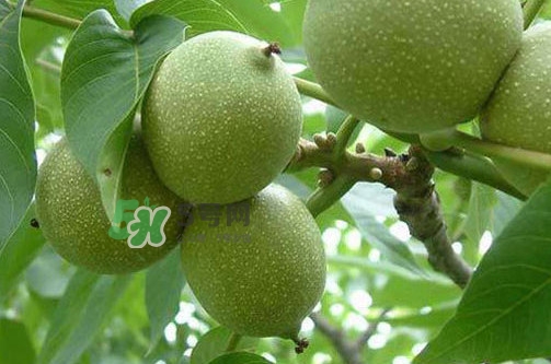 青皮核桃怎么保存最好方法,青皮核桃怎么保存时间长