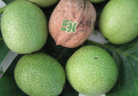 青皮核桃怎么泡酒,青皮核桃怎么泡酒?青皮核桃泡酒方法