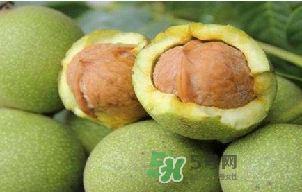 青皮核桃的功效和作用,核桃青皮的药用价值 青皮核桃的功效和作用,核桃青皮的药用价值