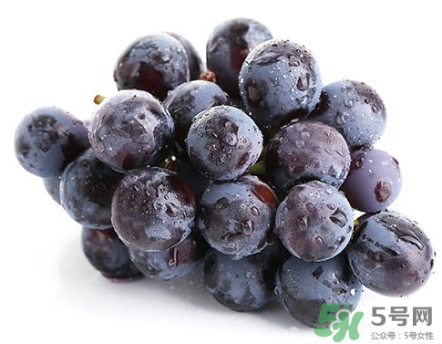 夏黑葡萄是转基因吗?,夏黑葡萄可以嫁接哪些