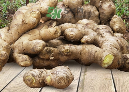 夏天为什么吃姜比较好,夏天吃姜有什么好处和功效?