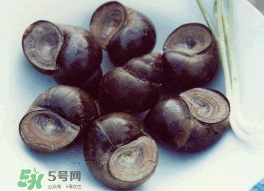田螺是发物吗?,田螺是发物吗是海鲜吗