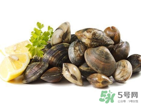 蛤蜊和沙白一样吗,白蛤文蛤花蛤和蛤蜊的区别