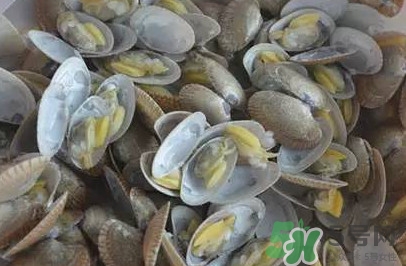 花蛤蜊什么时候最肥,蛤蜊几月份最肥 花蛤蜊什么时候最肥,蛤蜊几月份最肥