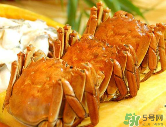 六月黄价格,桑黄多少钱一斤 六月黄价格,桑黄多少钱一斤