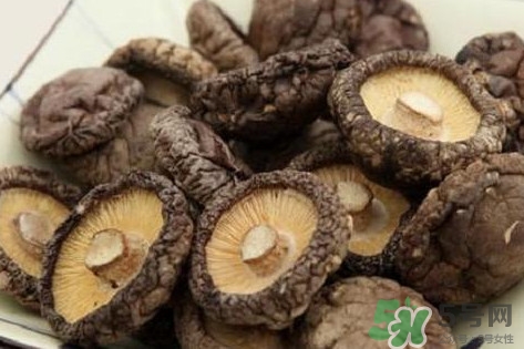 香菇是蘑菇吗?,蘑菇香菇还有什么菇