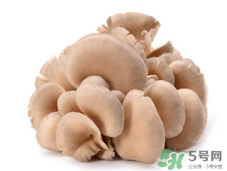 平菇怎么吃营养又健康,平菇怎么吃最好