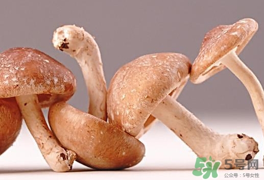 什么病不能吃香菇什么人不能吃香菇,什么病不能吃香菇?