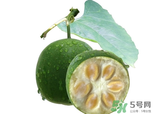 罗汉果的皮能不能泡水喝,罗汉果的果皮可以泡水喝吗