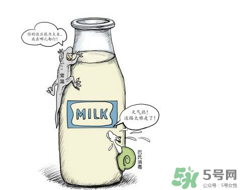 巴氏奶可以加热吗,巴氏奶喝的时候用不用加热