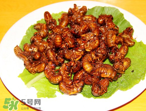 知了猴泡水喝的功效,知了猴皮煮水的功效