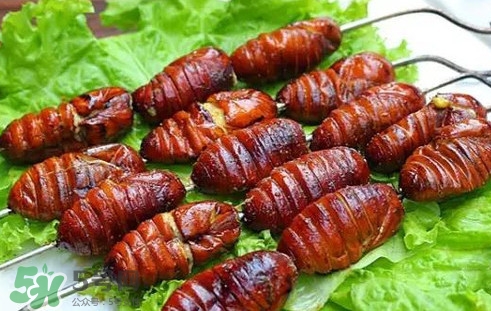 蝉蛹怎么处理可以食用,蚕蛹怎么处理