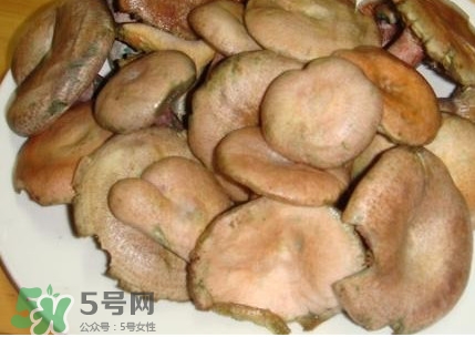 枞树菌孕妇可以吃吗,枞菌孕妇能不能吃 枞树菌孕妇可以吃吗,枞菌孕妇能不能吃