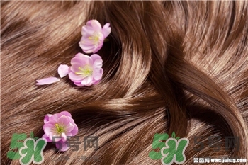 养发护发的食物有哪些,生发护发的食物