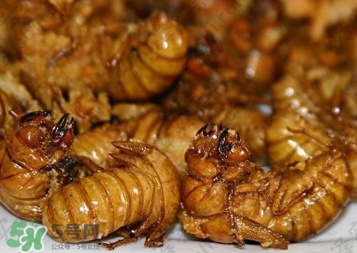 鸡蛋和蝉可以一起吃吗,知了猴不能和什么一起吃