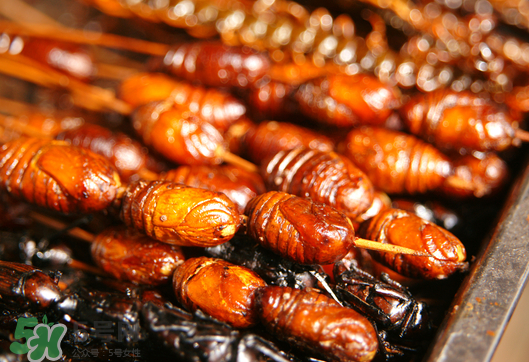 油炸知了猴做法,油炸知了猴做法窍门