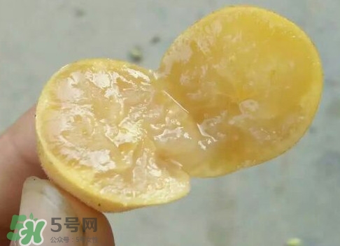 黄皮可以吃皮吗?,黄皮的皮可以直接吃吗